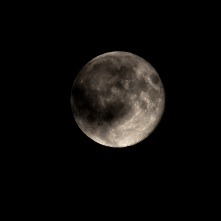 Weekly Economic News Roundup and lunar time