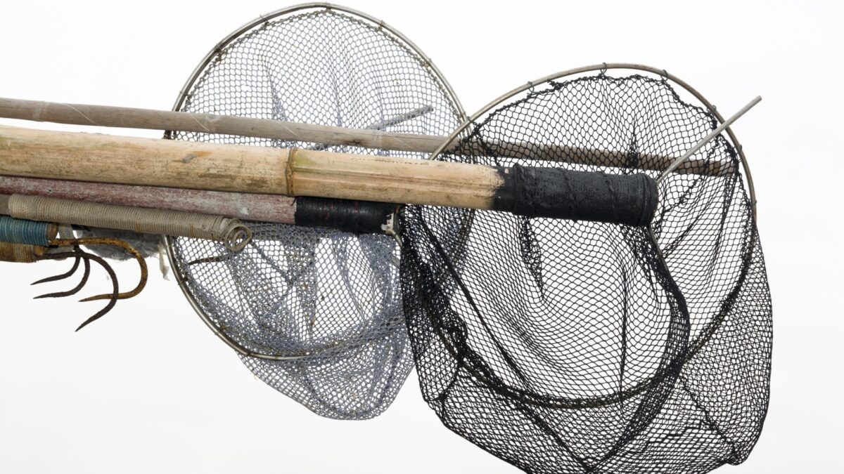 Weekly Economic News Roundup The Tragedy of the commons and overfishing