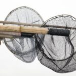 Weekly Economic News Roundup The Tragedy of the commons and overfishing