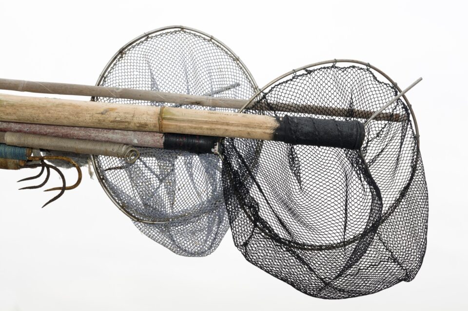 Weekly Economic News Roundup The Tragedy of the commons and overfishing