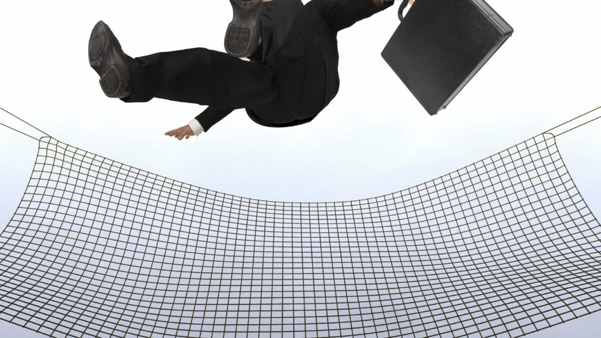 Safety Net French Social Democracy