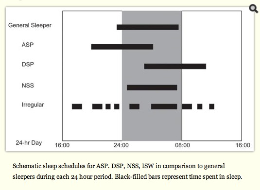 Human Capital and circadian rhythms
