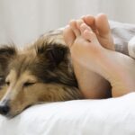 sleep time