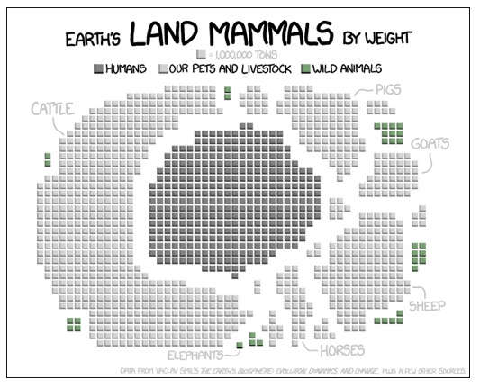 Externalities from ruminants