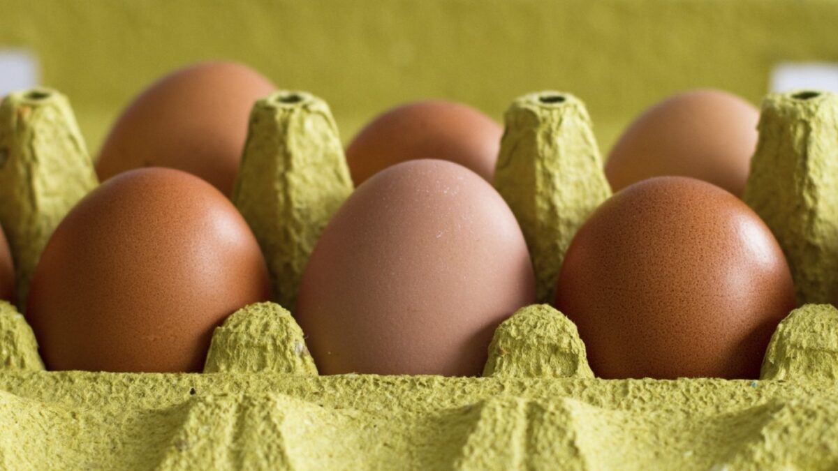 egg prices