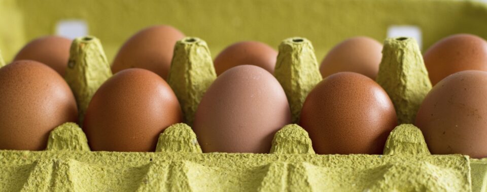 egg prices
