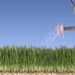 Weekly Economic News Roundup and economic growth and uncertainty