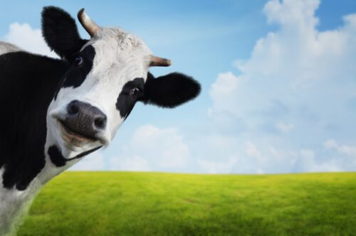 Weekly Economic News Roundup and animal economics