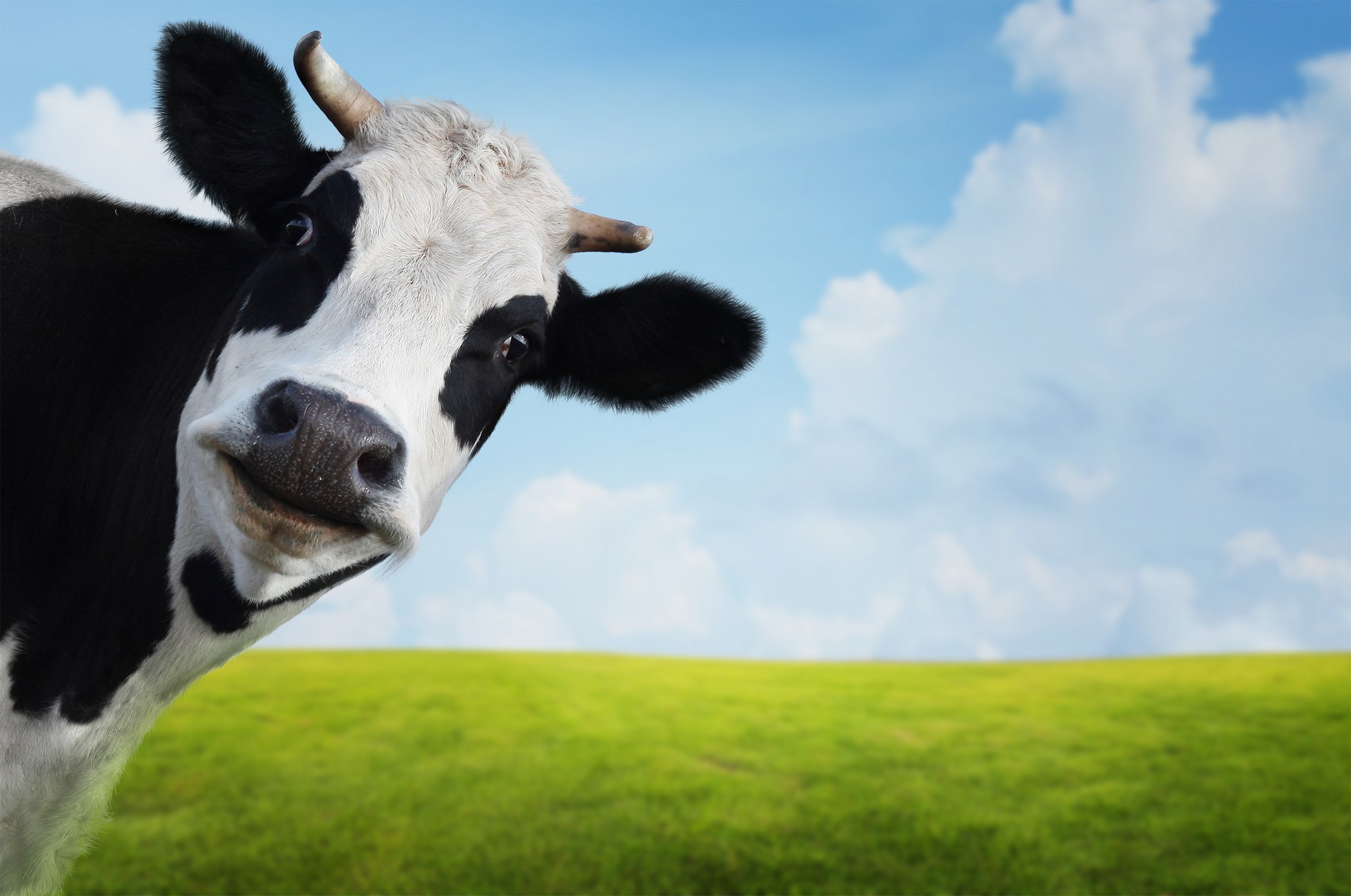 Weekly Economic News Roundup and Arizona wtaer supply