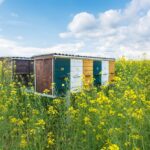The externalities created by attempts at energy efficiency can be positive or negative.