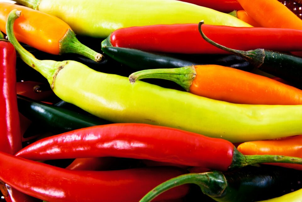 green chile peppers
