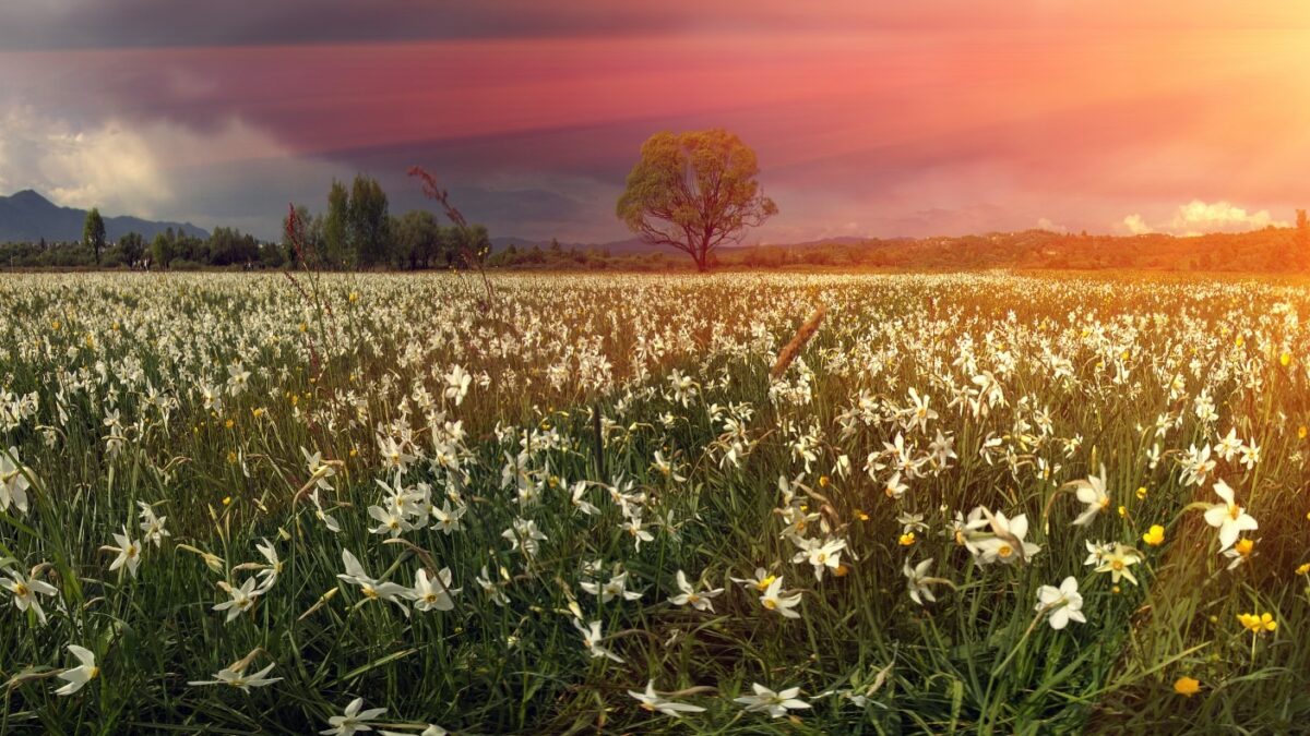 Ukraine facts that provide some economic insight