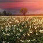Ukraine facts that provide some economic insight