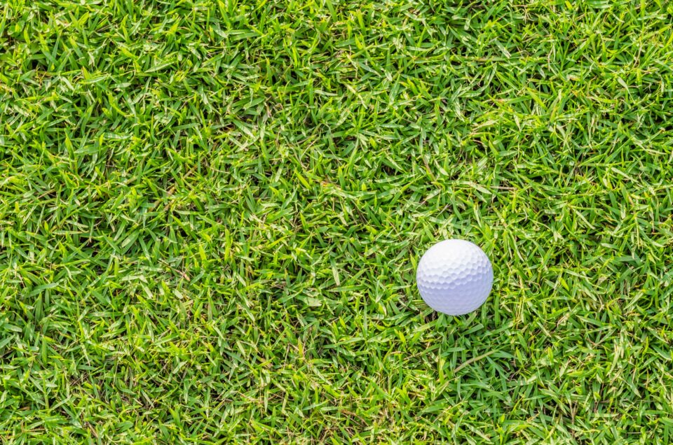 CEO performance and golf