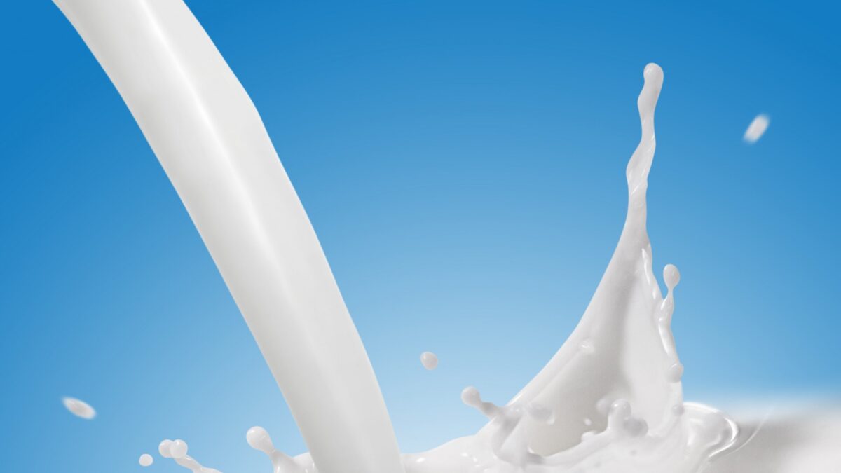 weekly roundup, cows and the milk glut