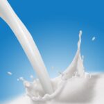weekly roundup, cows and the milk glut