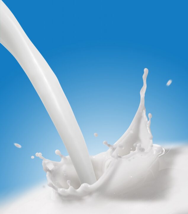 weekly roundup, cows and the milk glut