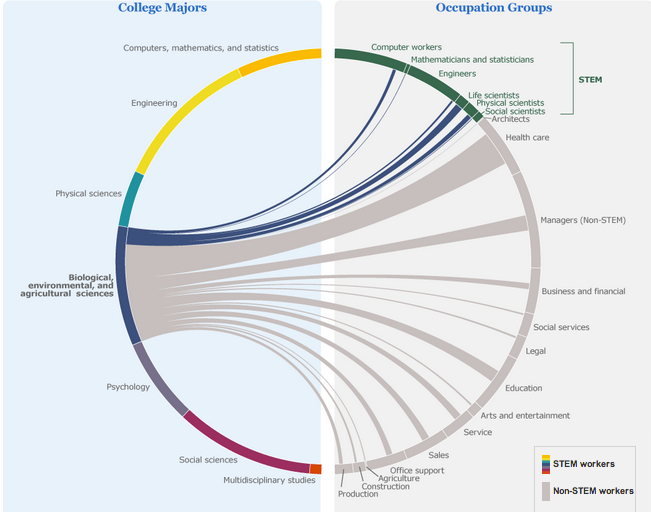 jobs and majors