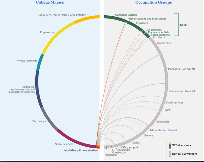 Human capital jobs and multidisciplinary studies