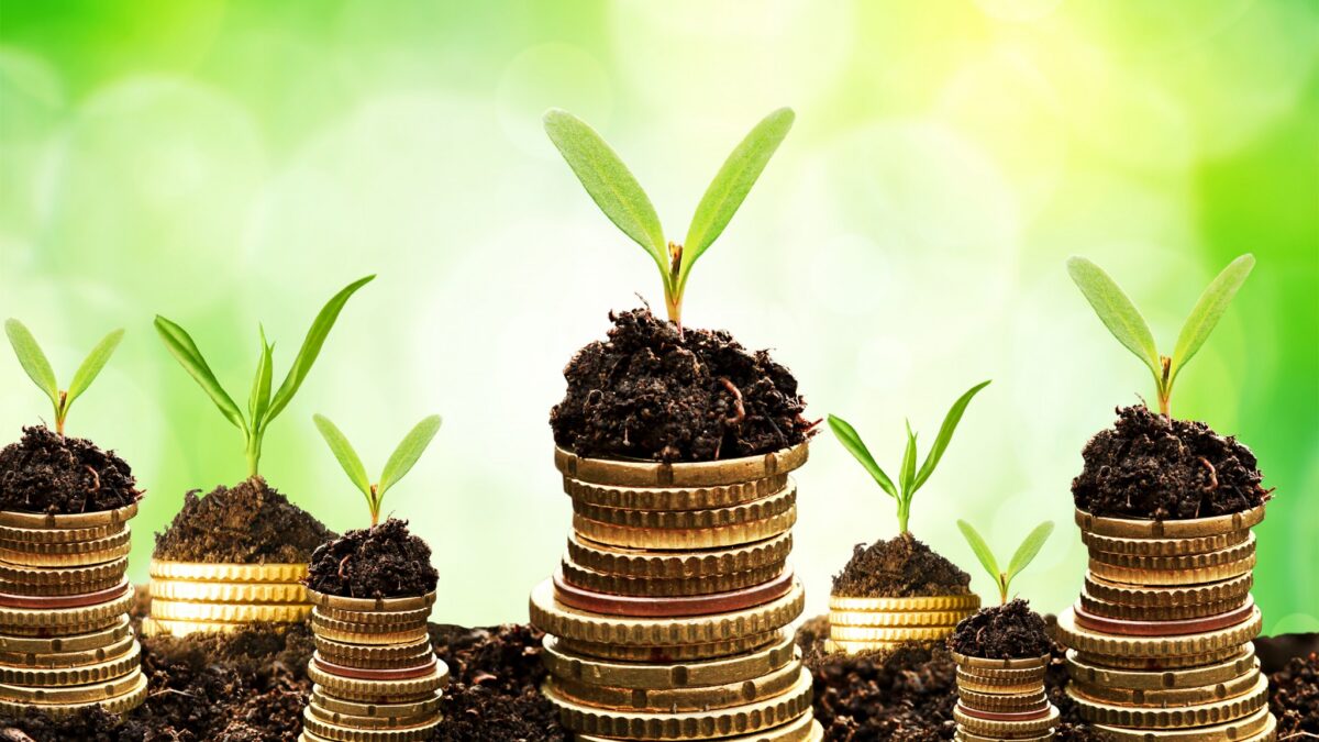 multigenerational Individual wealth
