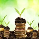 multigenerational Individual wealth