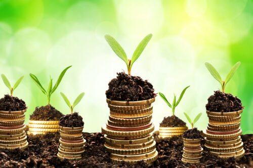 multigenerational Individual wealth
