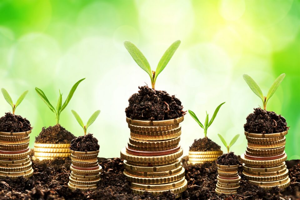 multigenerational Individual wealth