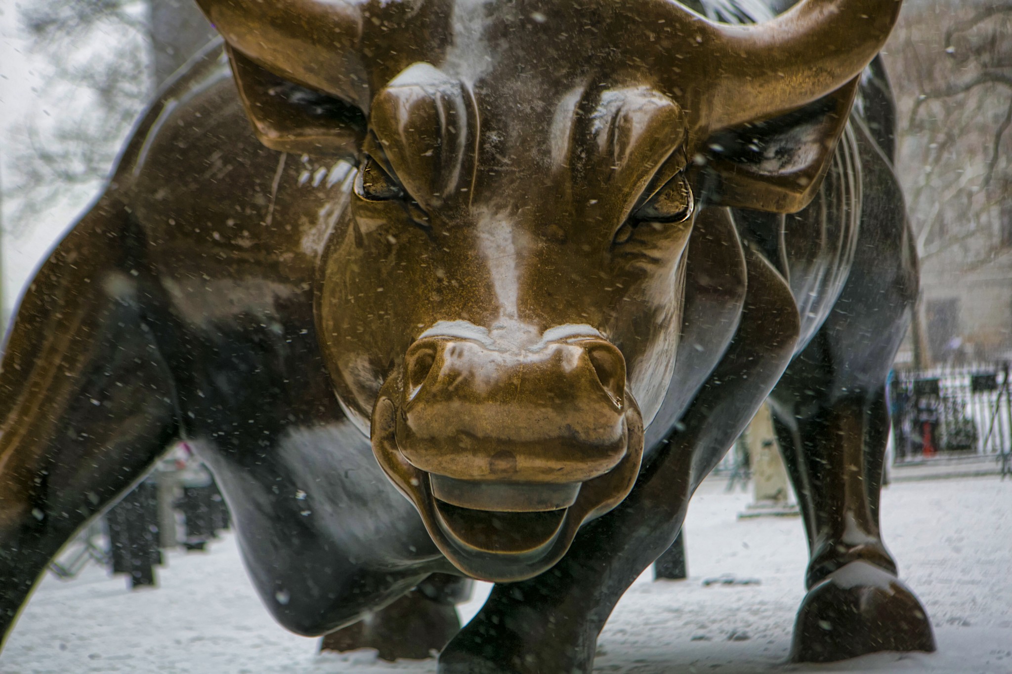 weekly economic roundup bull and bear markets