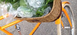 Everyday economics and the benefits of city living