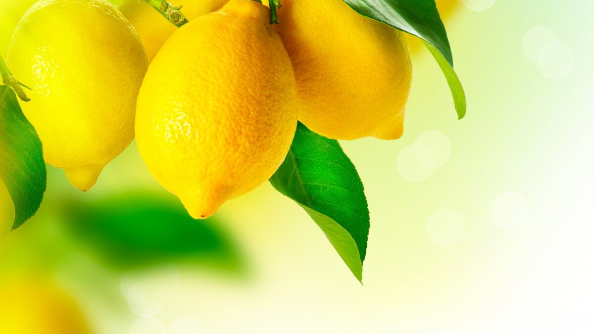 Because of less supply and more demand, lemon prices are soaring.