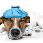 Everyday economics and Increased demand, less physician supply and a price ceiling for Medicaid explain why we have network inadequacy.