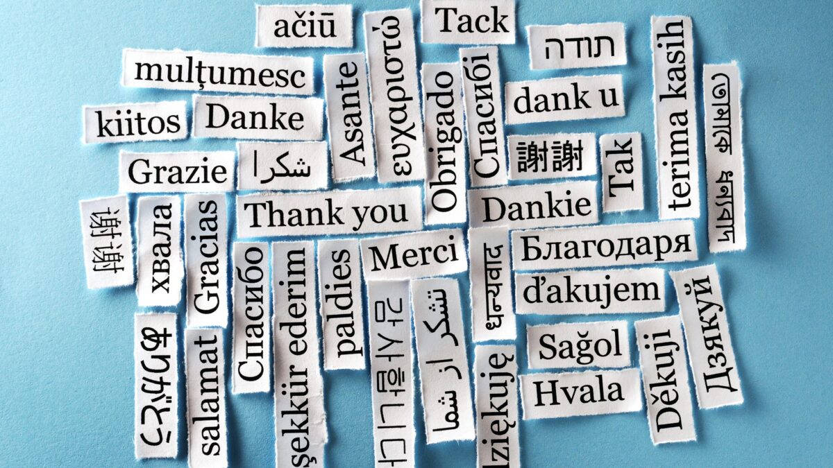 economic news roundup and language policy