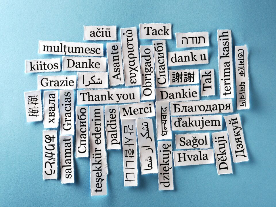 economic news roundup and language policy