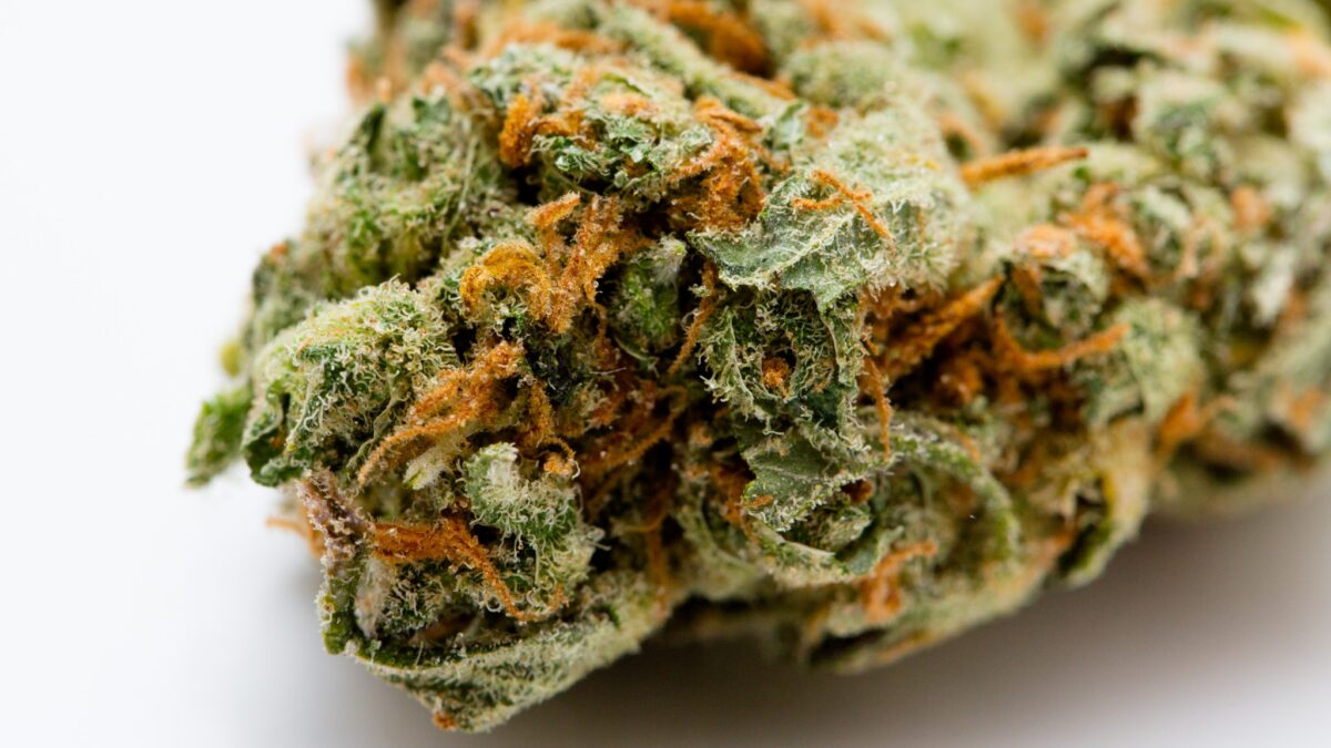 The banks and insurance companies are financial intermediaries that avoid legal marijuana business.