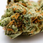 The banks and insurance companies are financial intermediaries that avoid legal marijuana business.