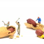 Everyday economics and the minimum wage