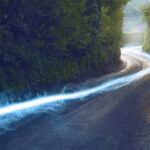 Everyday economics and the internet in Italy