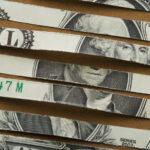 A part of the money supply, currency wears out, is shredded and then recycled or destroyed.