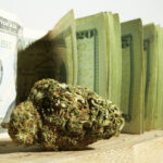 marijuana markets growing