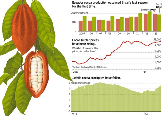 CCN 51 solves cocoa bean supply and demand problems