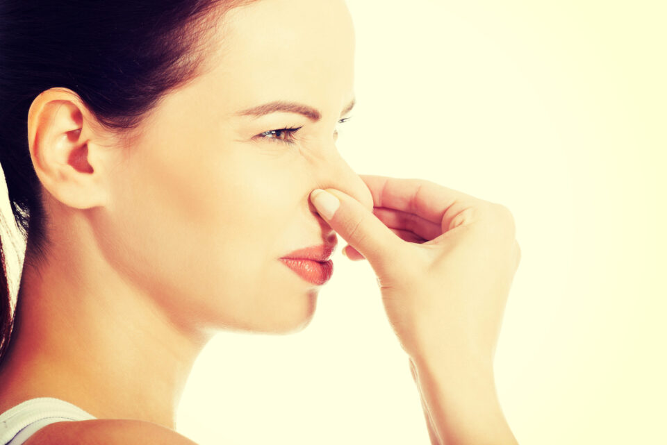 Odor pollution is a target of municipal regulation.