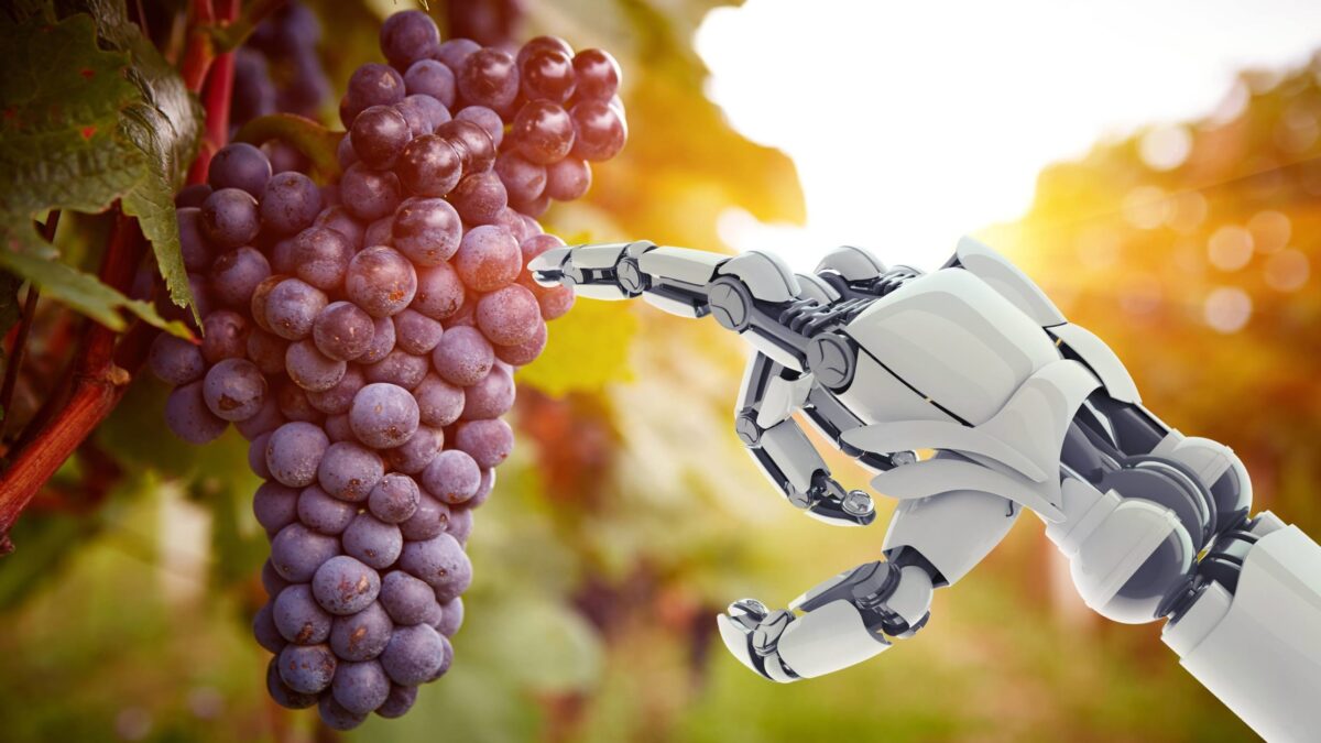 Weekly Economic News Roundup and grape picking robots