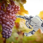 Weekly Economic News Roundup and grape picking robots