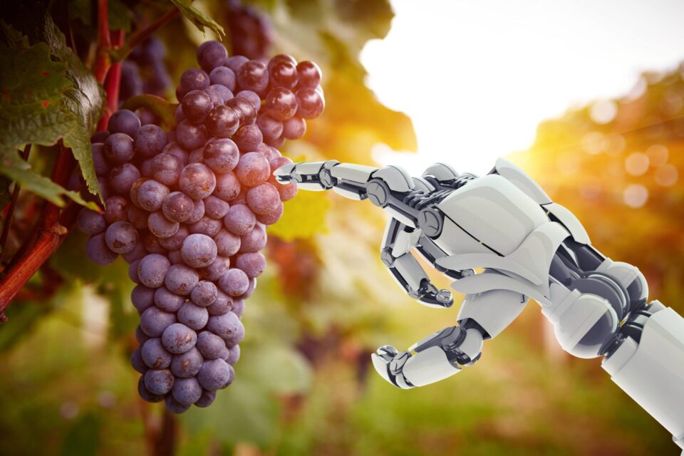 Weekly Economic News Roundup and grape picking robots