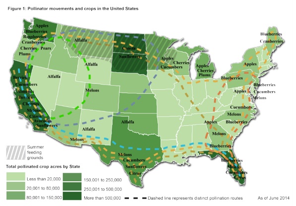 Market system for pollination routes