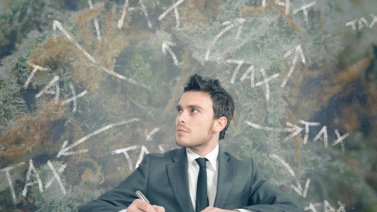 everyday economics and marijuana taxes