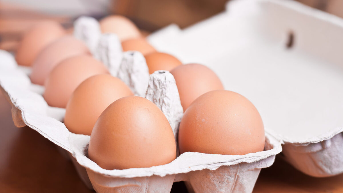 egg smuggling