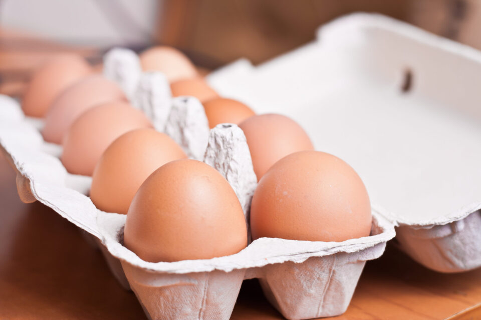 egg smuggling