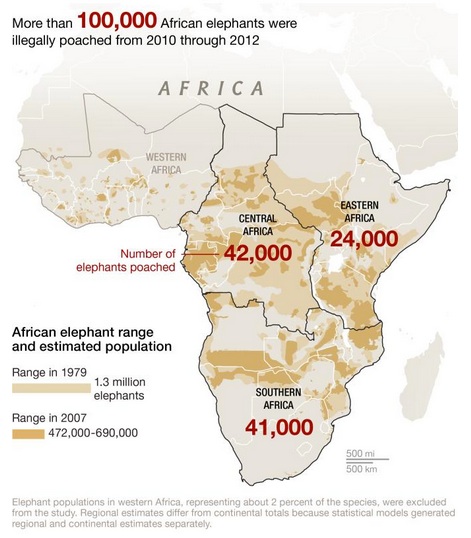 Elephant conservation is failing as poaching increases