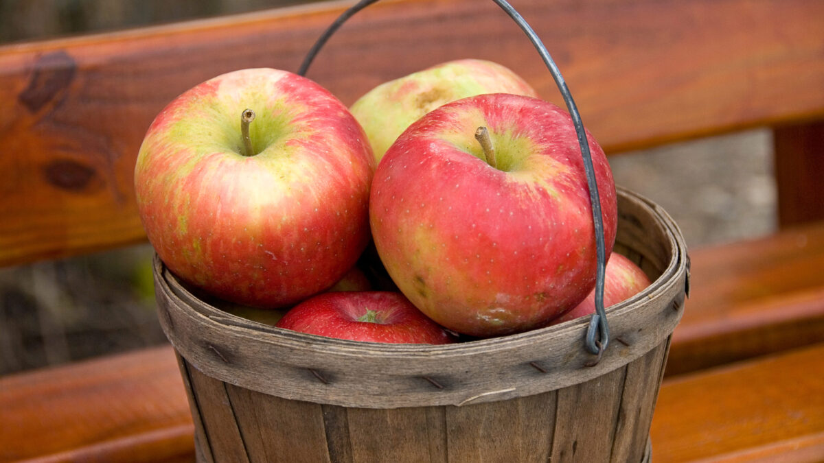 Everyday economics and the apple's monopolistic competition.